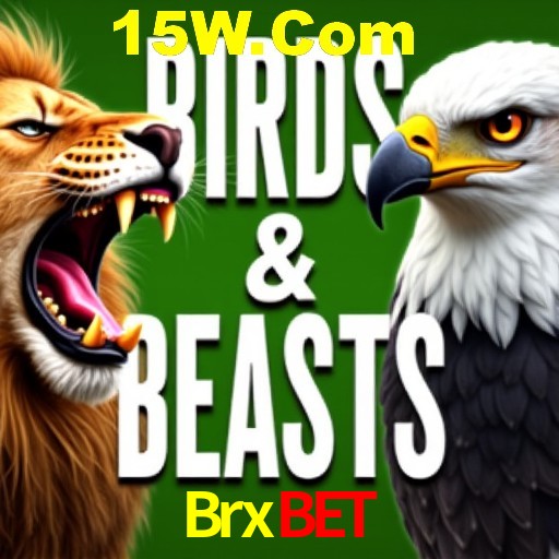 A Experiência Imersiva dos Cassinos Ao Vivo no Brxbet